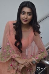 Avantika Mishra At Vaishakham Movie Success meet